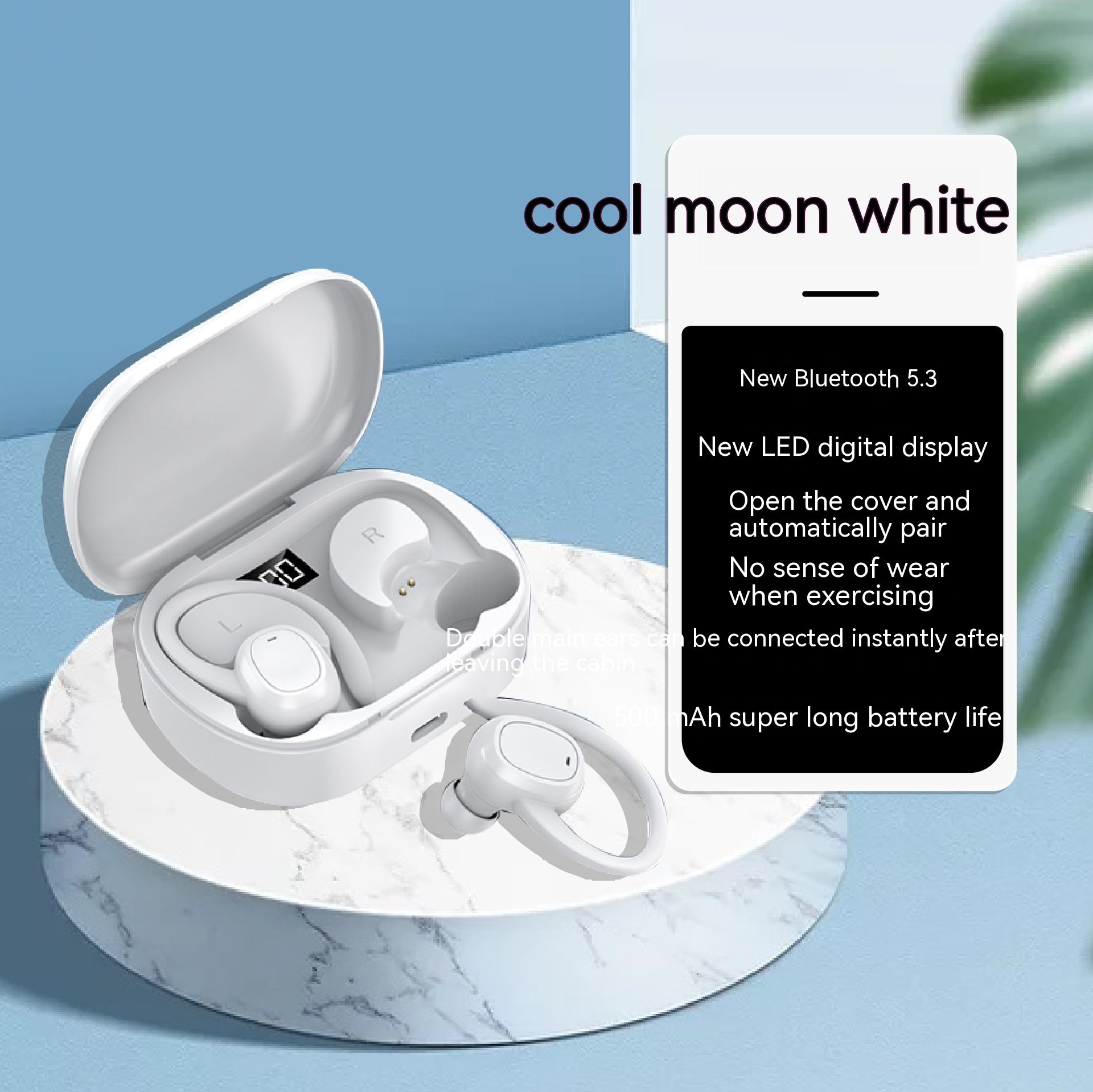 Wireless Sports Ear Hook Earphones - AGB LuxeDrop