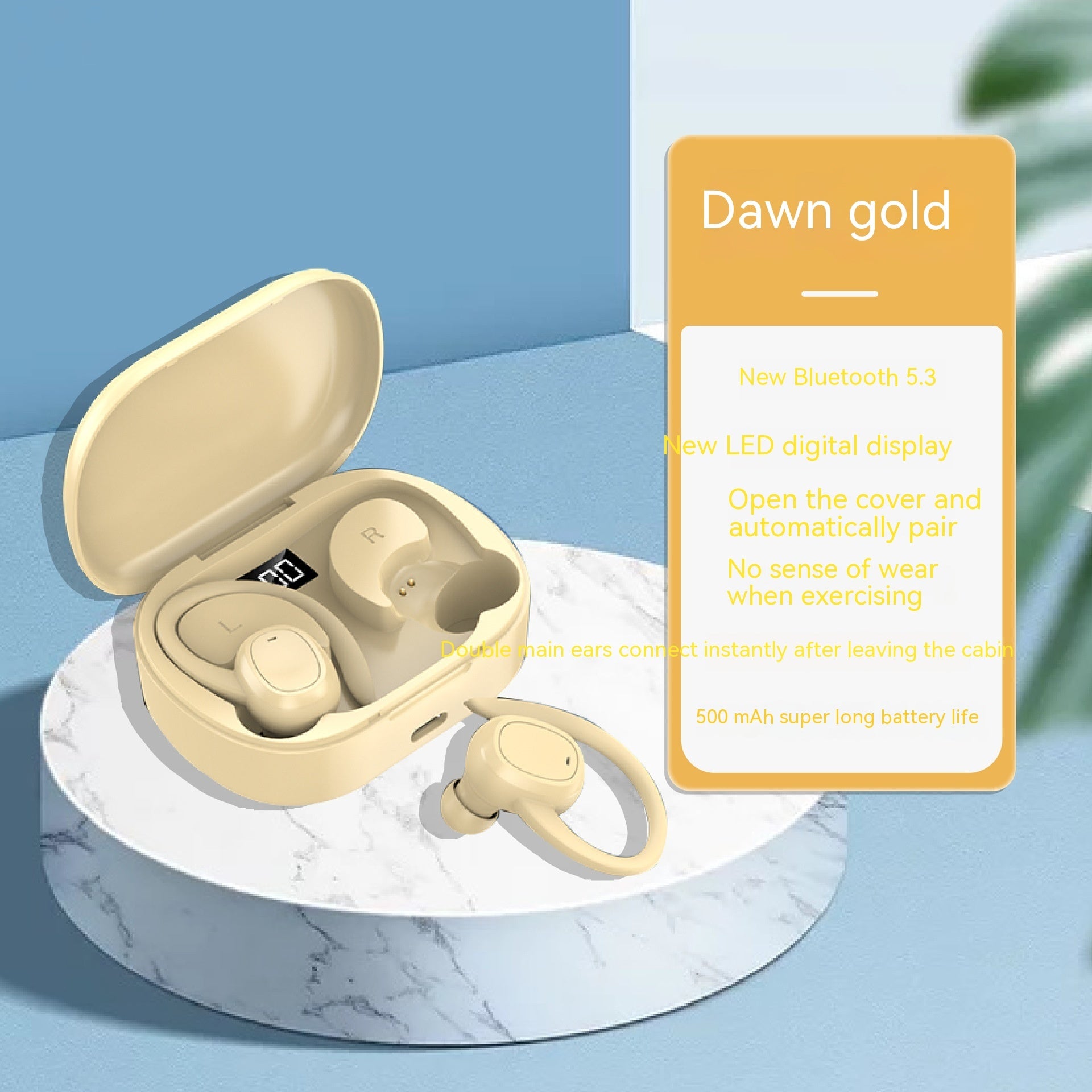 Wireless Sports Ear Hook Earphones - AGB LuxeDrop