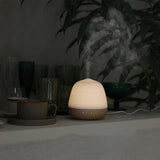 Ultrasonic Home Creative Essential Oil Humidifier - AGB LuxeDrop
