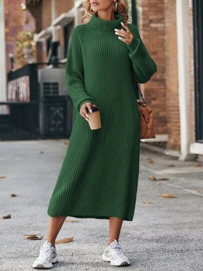 Winter Turtleneck Knitted Sweater Pullover Long Dresses For Women Clothing